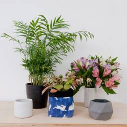 Rabbit Print Fabric Plant Pot - Waterproof Textile Storage Basket - thumbnail 3
