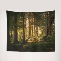 Sunny Forest Tapestry, Sunbeams Through Woods Wall Decor, Nature Wall Tapestry, , Nature Hanging - thumbnail 2