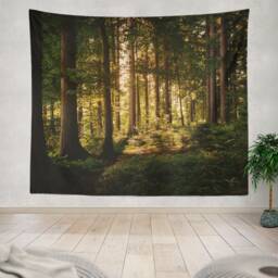 Sunny Forest Tapestry, Sunbeams Through Woods Wall Decor, Nature Wall Tapestry, , Nature Hanging - thumbnail 1