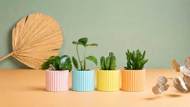 Planter Pot, 3D Printed Cactus, Succulent Planters , Mid Century Idea Gift For Home, Home Decor - image 1
