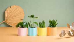 Planter Pot, 3D Printed Cactus, Succulent Planters , Mid Century Idea Gift For Home, Home Decor