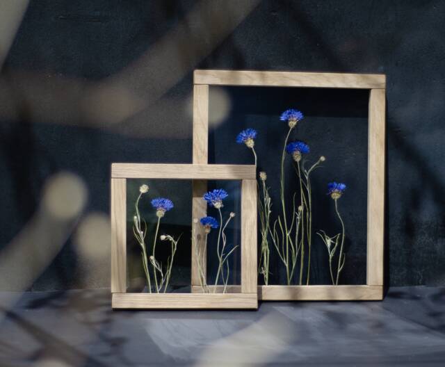 Framed Wall Art Set - Botanicals Real Dried Flowers Pressed Flowers Herbarium Flower Frame Wall Decor - image 1
