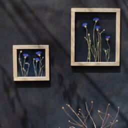Framed Wall Art Set - Botanicals Real Dried Flowers Pressed Flowers Herbarium Flower Frame Wall Decor - thumbnail 3