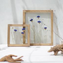 Framed Wall Art Set - Botanicals Real Dried Flowers Pressed Flowers Herbarium Flower Frame Wall Decor - thumbnail 2