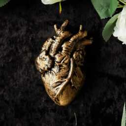 Anatomical Heart Wall Hanging/Goth Valentines Gift Gothic Home Decor Witchy Romantic Sculpture Dark Academia Oddity Human Anatomy - thumbnail 4