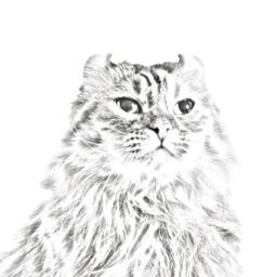 American Curl - Wooden Stand For Candles/Pens With The Image Of A Cat New Collection - thumbnail 2