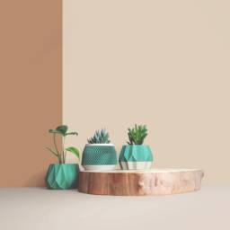 Set Of 3D Printed Cactus Planters, Succulent Mid Century Idea Gift For Home - thumbnail 2