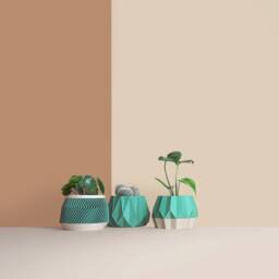 Set Of 3D Printed Cactus Planters, Succulent Mid Century Idea Gift For Home - thumbnail 3