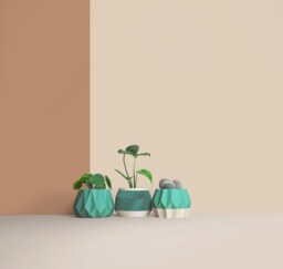 Set Of 3D Printed Cactus Planters, Succulent Mid Century Idea Gift For Home