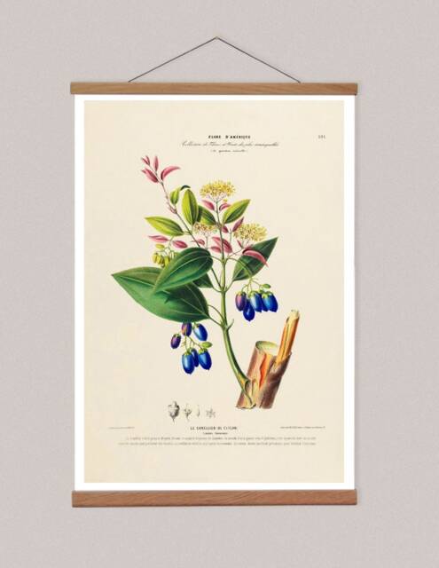 Botanical Canvas Print With Oak Magnetic Hanger, American Flowers Illustration - image 1