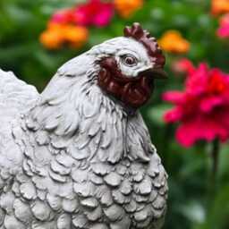 Concrete White Chicken Statue Farm Hen Figurine Garden Bird Sculpture Stone Farmhouse Decor Outdoor Yard Ornament Gift For Lover - thumbnail 4