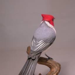 Red-Crested Cardinal Wooden Carved Bird - thumbnail 3
