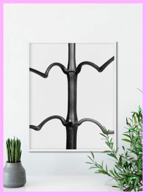Plant Study #8 - Karl Blossfeldt Botanical Nature 1928 Vintage Printable Decor Wall Art Digital Download - image 1