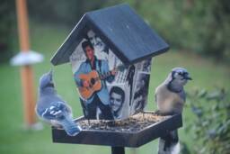 Elvis Presley Bird Feeder - thumbnail 1