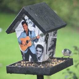 Elvis Presley Bird Feeder - thumbnail 2