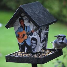 Elvis Presley Bird Feeder - thumbnail 3
