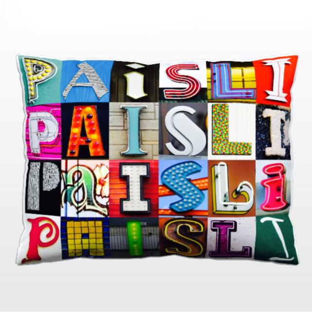 Personalized Pillow Featuring Paisli in Photos Of Sign Letters Custom Couch Cushions Colorful Pillows Photo Pillow Sofa Pillows