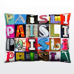Personalized Pillow Featuring Paisli in Photos Of Sign Letters Custom Couch Cushions Colorful Pillows Photo Pillow Sofa Pillows