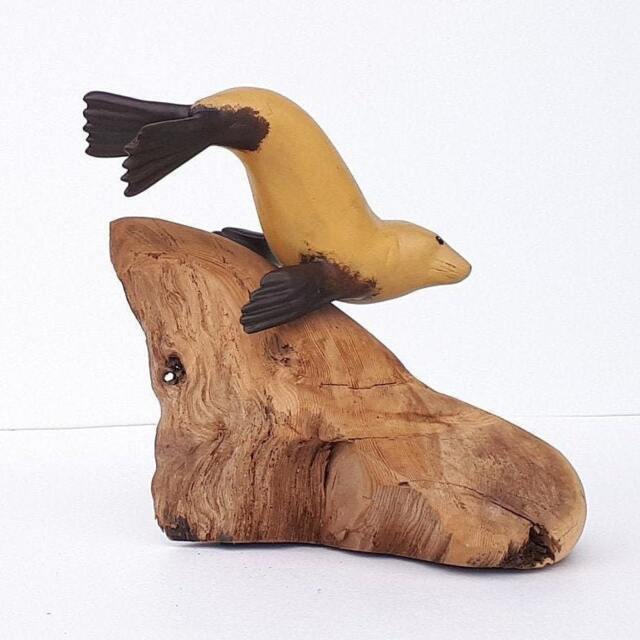 Swimming Sealion On Driftwood - image 1