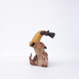 Swimming Sealion On Driftwood - thumbnail 3