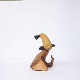 Swimming Sealion On Driftwood - thumbnail 2