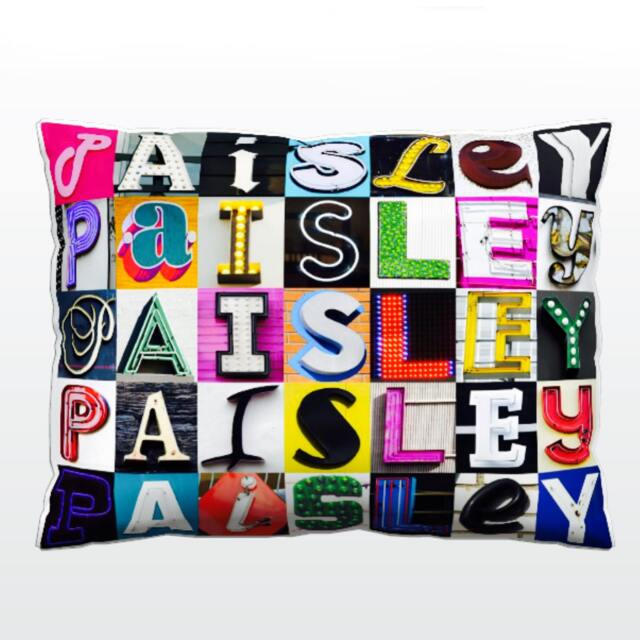 Personalized Pillow Featuring Paisley in Photos Of Sign Letters Custom Couch Cushions Colorful Pillows Photo Pillow Sofa Pillows