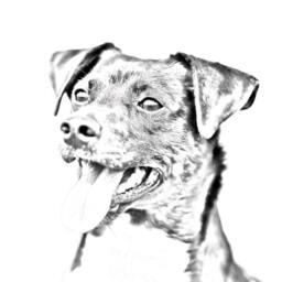 Danish Swedish Farmdog - Wooden Stand For Candles/Pens With The Image Of A Dog New Collection - thumbnail 2