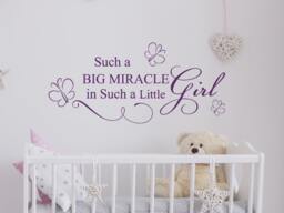 Such A Big Miracle Wall Decals Quote Baby Room Decal Butterfly Vinyl Sticker Girl Nursery Decor Art Home Murals Ms704