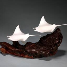 Manta Ray Sculpture By John Perry Duo 11In Long Pellucida On Burlwood - thumbnail 4
