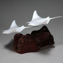 Manta Ray Sculpture By John Perry Duo 11In Long Pellucida On Burlwood - thumbnail 3