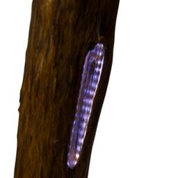 Led Light Black Locust Wooden Lamp, On A Stone Base, Floor Robinia, Home Decor, Reclaimed Wood - thumbnail 3