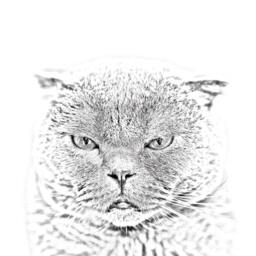 Scottish Fold - Wooden Stand For Candles/Pens With The Image Of A Cat New Collection - thumbnail 2