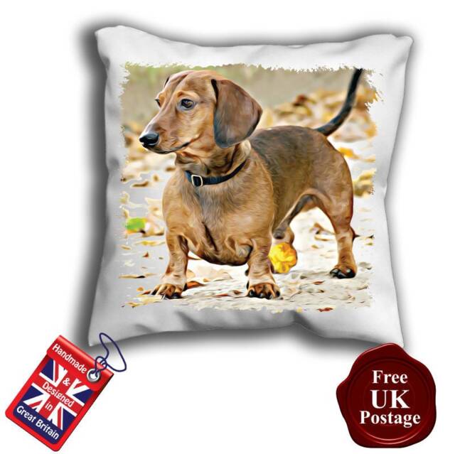 Dachshund, Dachshund Cushion, Pillow - image 1