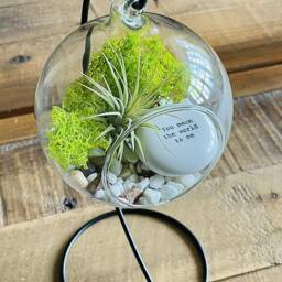 "Diy Terrarium Air Plant Kit, Glass With A Stand. ""You Mean The World To Me " - thumbnail 2