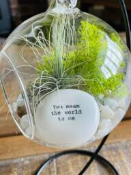 "Diy Terrarium Air Plant Kit, Glass With A Stand. ""You Mean The World To Me "