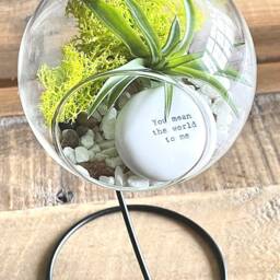 "Diy Terrarium Air Plant Kit, Glass With A Stand. ""You Mean The World To Me " - thumbnail 3