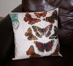 Cushion Large Butterfly Illustration Handmade Wings Nature Washable Interior Design Unique Lepidopterist Lepidoptera Lepidopterology - thumbnail 1