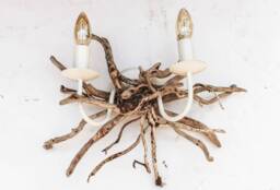 Driftwood Wall Light Beach House Rustic Lighting, Seaside D??cor
