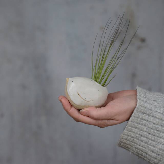 Bird Air Plant Holder With in Off-White - image 1