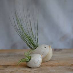Bird Air Plant Holder With in Off-White - thumbnail 3