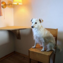 Small Folding Corner Desk, Wall Mounted Wooden Bedside Table, Space Saving, - Handmade - thumbnail 4