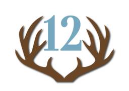 Wood Antler Marker, Woodland Milestone Blanket Month Baby Shower Gift, Photo Prop, Keepsake