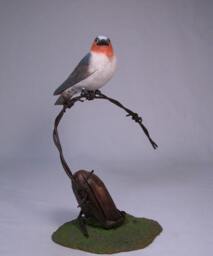 Cliff Swallow Hand Carved Wooden Songbird