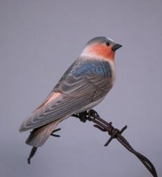 Cliff Swallow Hand Carved Wooden Songbird - thumbnail 3