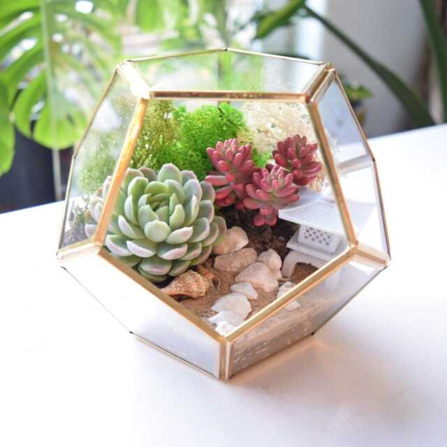 Geometric Octagon Terrarium Kit - Diy Succulent Garden, Home Decor - image 1