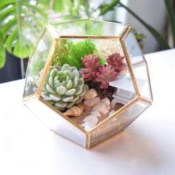 Geometric Octagon Terrarium Kit - Diy Succulent Garden, Home Decor - thumbnail 1