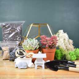 Geometric Octagon Terrarium Kit - Diy Succulent Garden, Home Decor - thumbnail 2