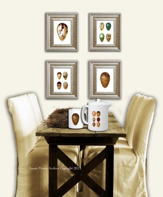 Antique Bird Eggs Prints Set Of 4 Golden Yellow Brown Green Wall Art Print 8x10 - image 1