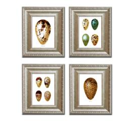 Antique Bird Eggs Prints Set Of 4 Golden Yellow Brown Green Wall Art Print 8x10 - thumbnail 2