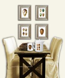 Antique Bird Eggs Prints Set Of 4 Golden Yellow Brown Green Wall Art Print 8x10 - thumbnail 1